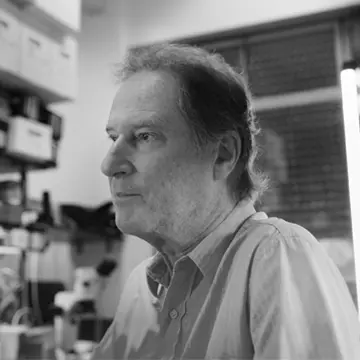 Dr. Marcelo Rubinstein